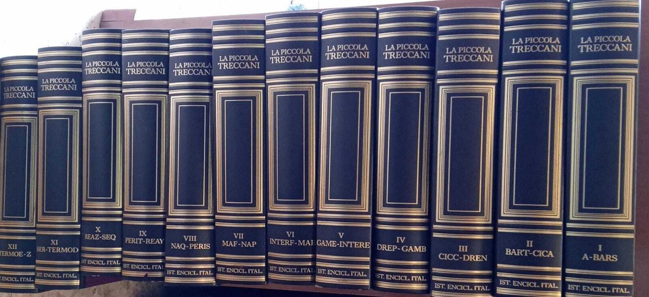 La piccola Treccani (12 volumi)