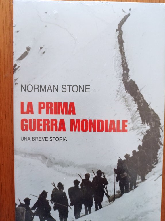 La prima guerra mondiale breve storia.