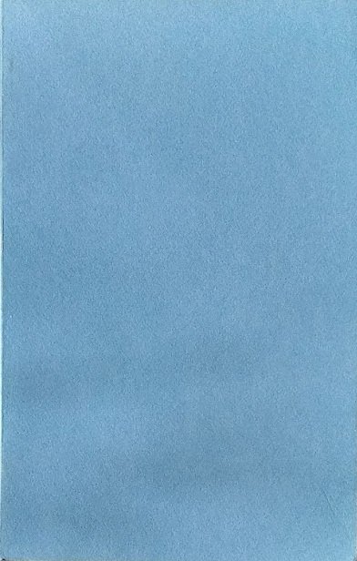 La professione giornalistica italiana