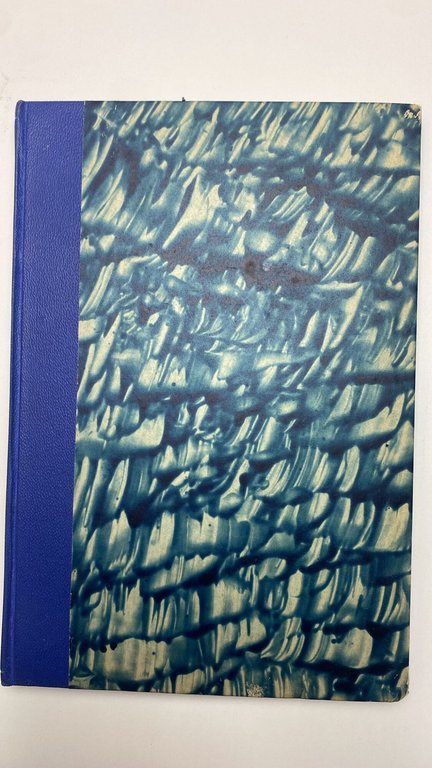 La protezione dei diritti umani nell'ordinamento internazionale