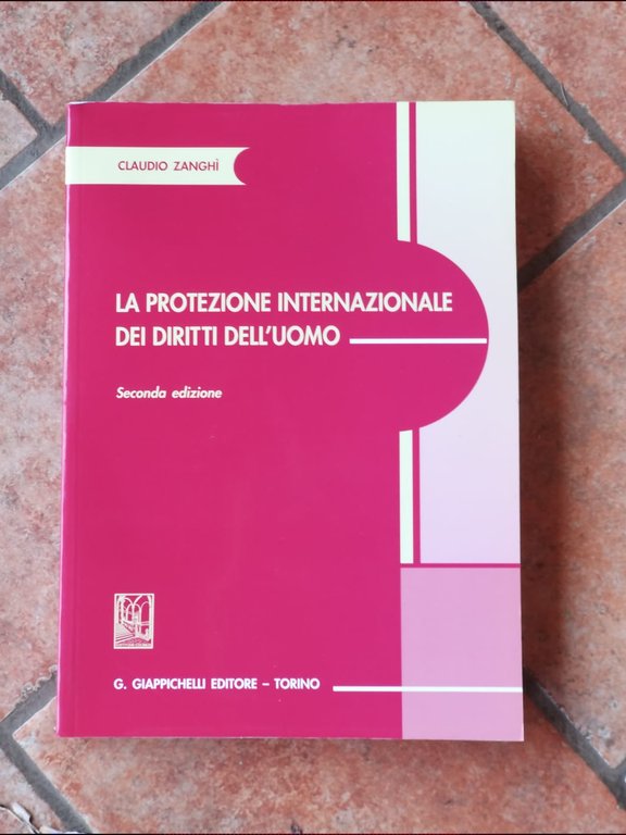 La protezione internazionale dei diritti dell'uomo