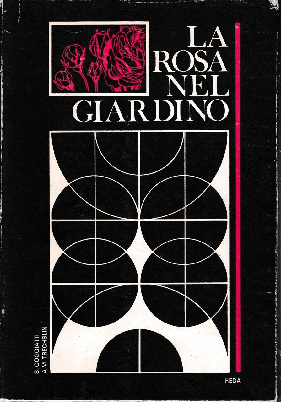 La rosa nel giardino. | Immagine principale