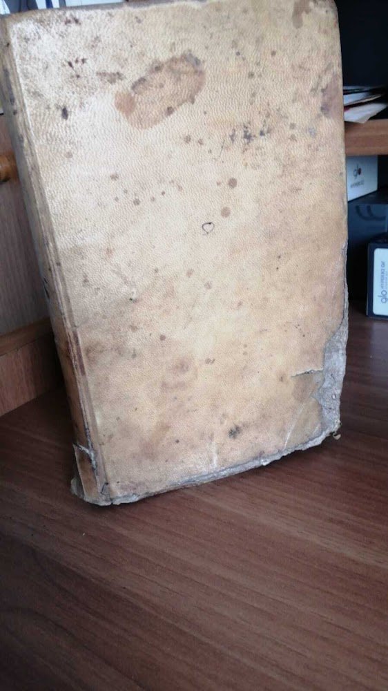 La trionfante Cecilia, vergine e martire romana