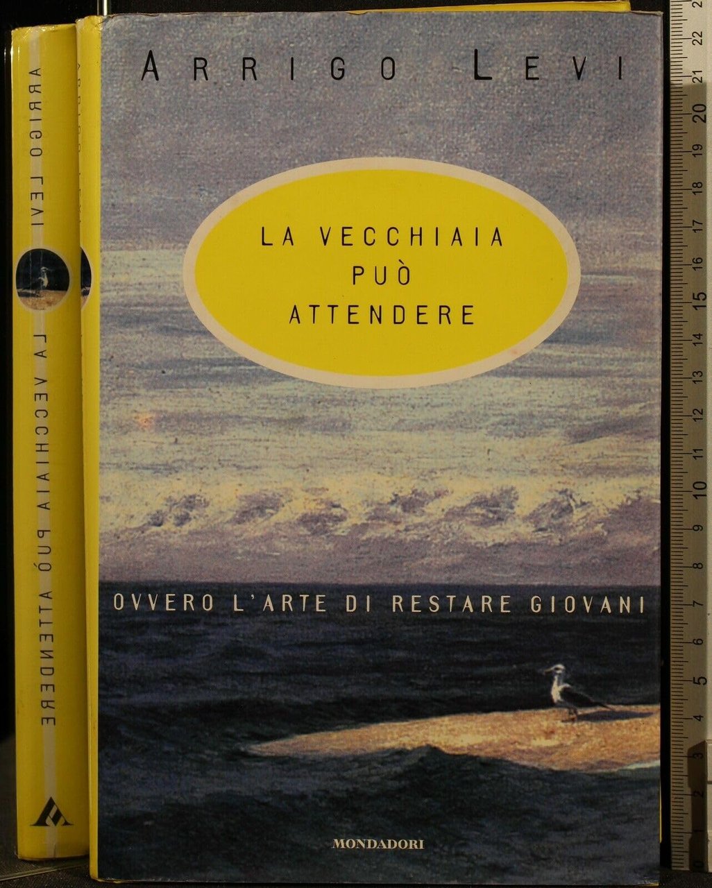 La vecchiaia può attendere | Immagine principale