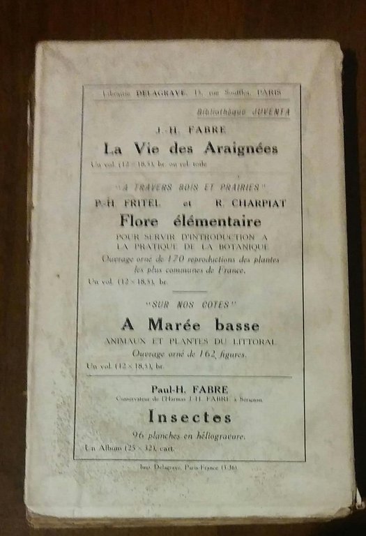 LA VIE DES GUEPES | Immagine Gallery 4