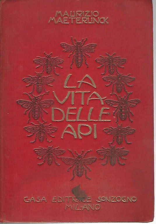 La vita delle api