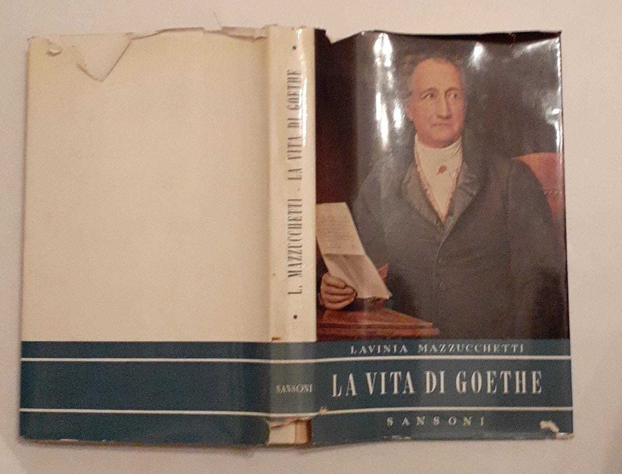 La vita di Goethe