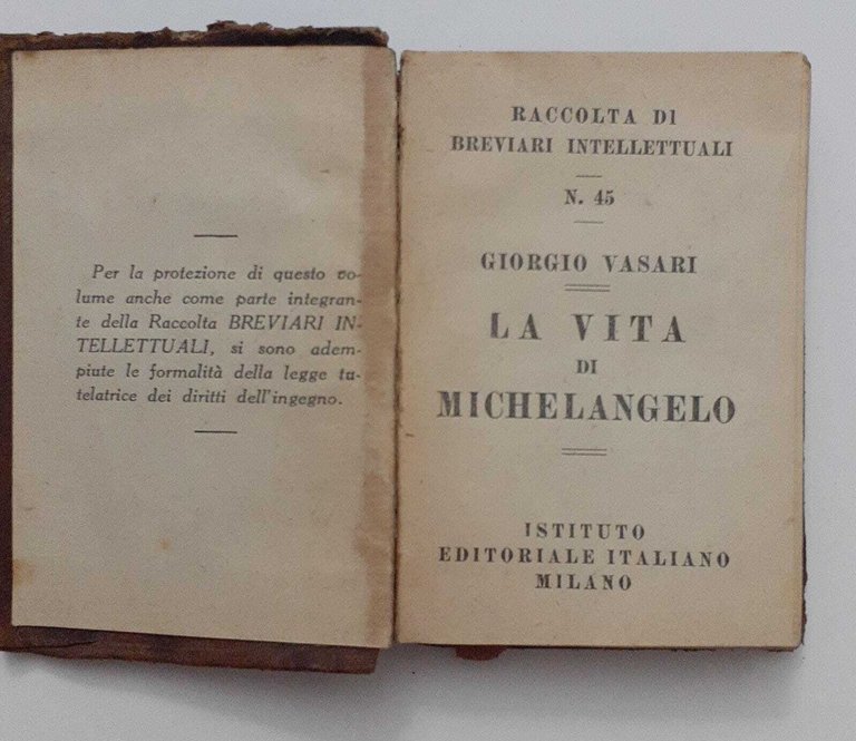 La vita di Michelangelo | Immagine Gallery 2