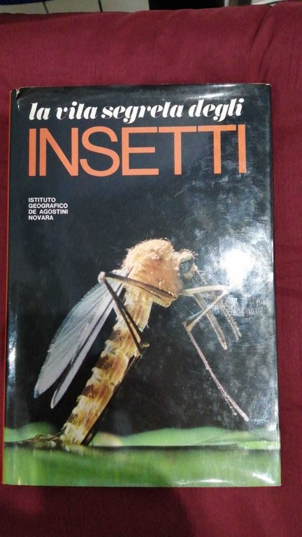 La Vita segreta degli Insetti