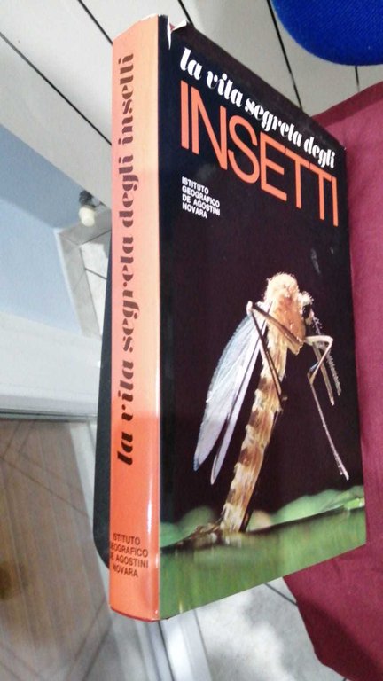 La Vita segreta degli Insetti