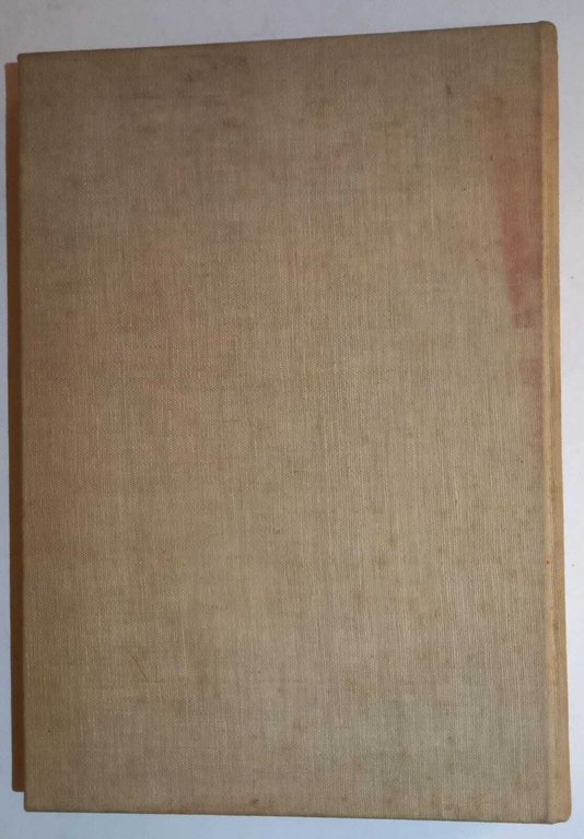 Latei Amerika | Immagine Gallery 4