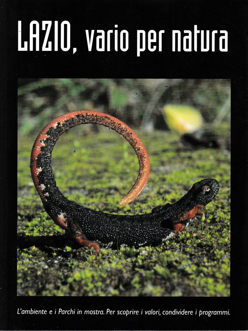 Lazio, vario per natura. | Immagine principale
