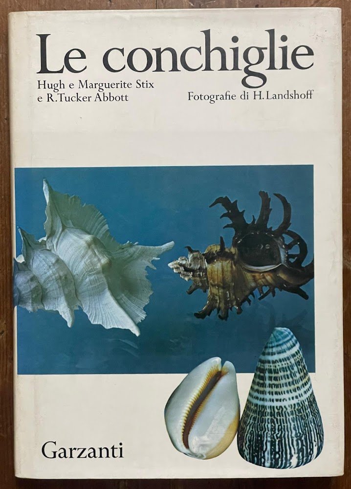Le conchiglie
