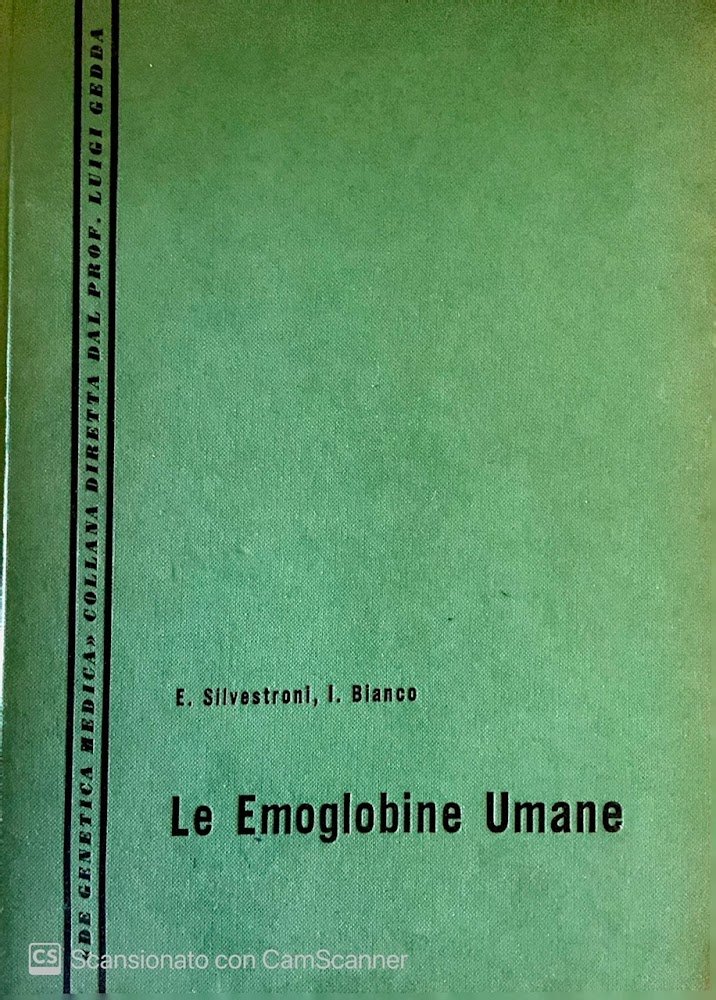 Le emoglobine umane