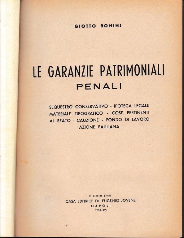 Le garanzie patrimoniali penali.