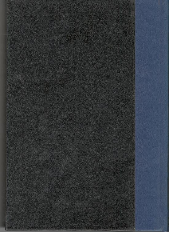 Le Grandi Biografie : Nerone