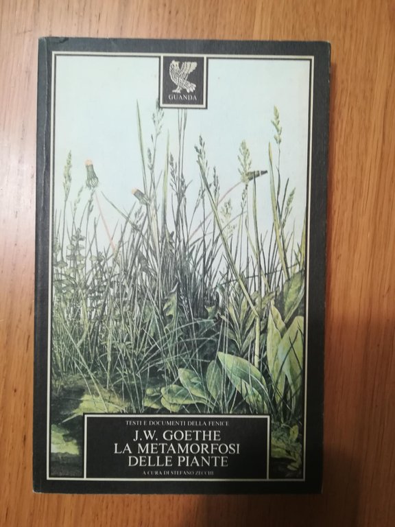 Le metamorfosi delle piante