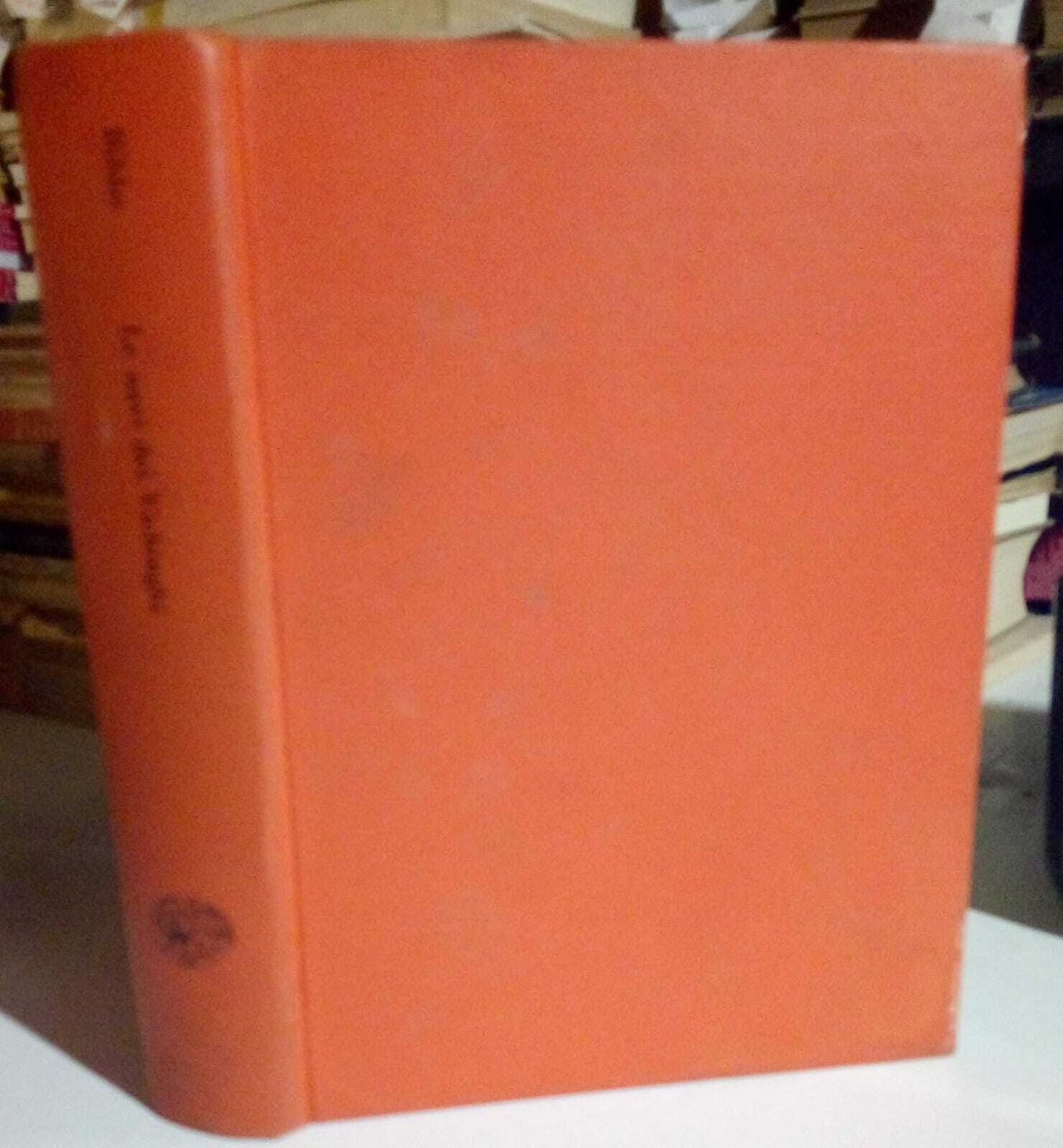 Le navi dei Vichinghi. | Immagine principale