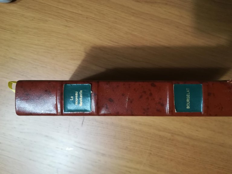 Le nouveau Newkastle | Immagine Gallery 3