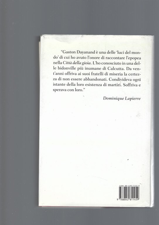 LE RADICI DELLE MANGROVIE