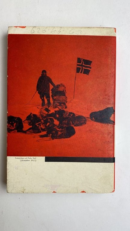 Le regioni polari | Immagine Gallery 2