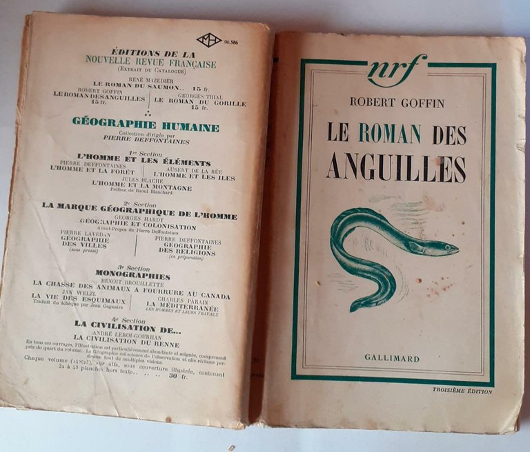 Le roman des anguilles