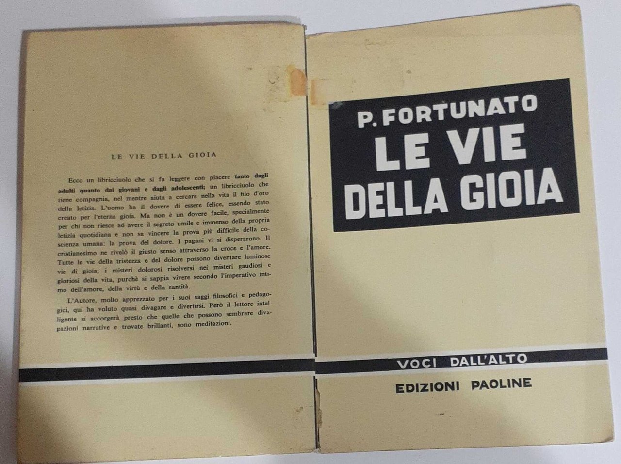 Le vie della gioia