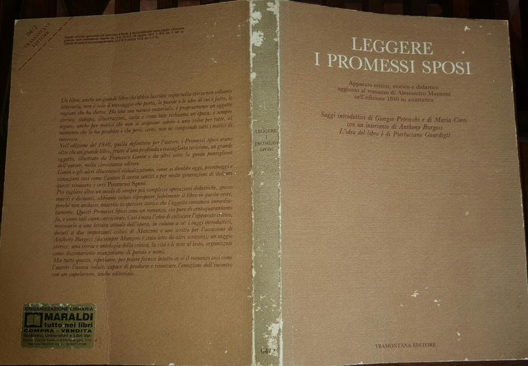 Leggere i Promessi Sposi