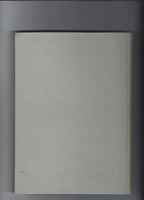 Leonardo architetto urbanista