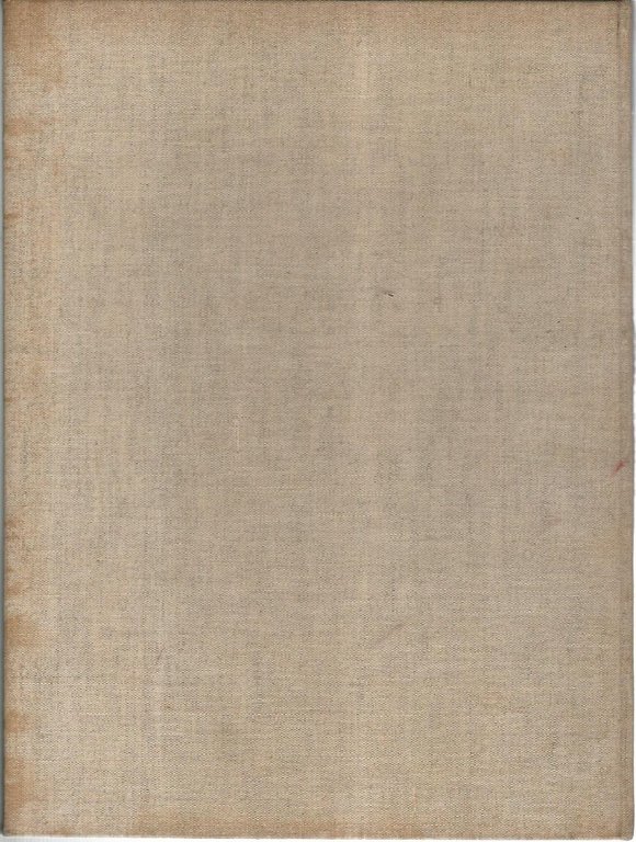 Leonardo Bazzaro | Immagine Gallery 2