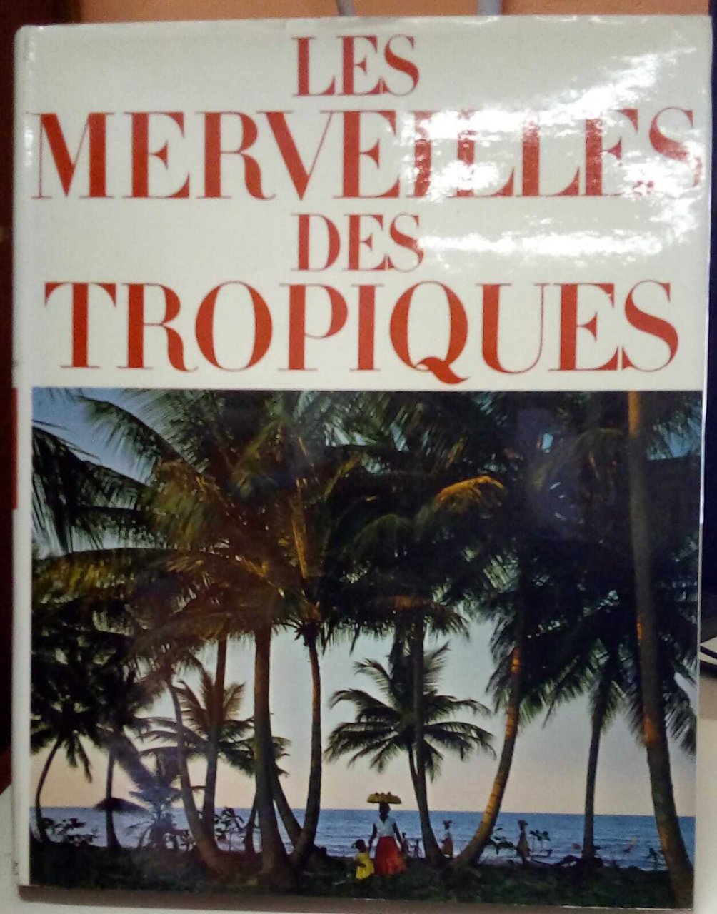 Les merveilles des Tropiques | Immagine principale