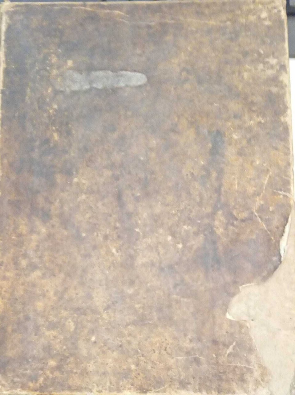 Lexicon Graeco-latinum et latino-graecum | Immagine principale