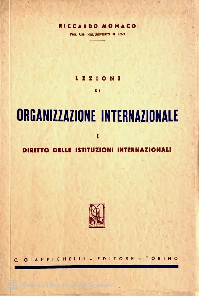 Lezioni di organizzazione internazionale Vol. 1