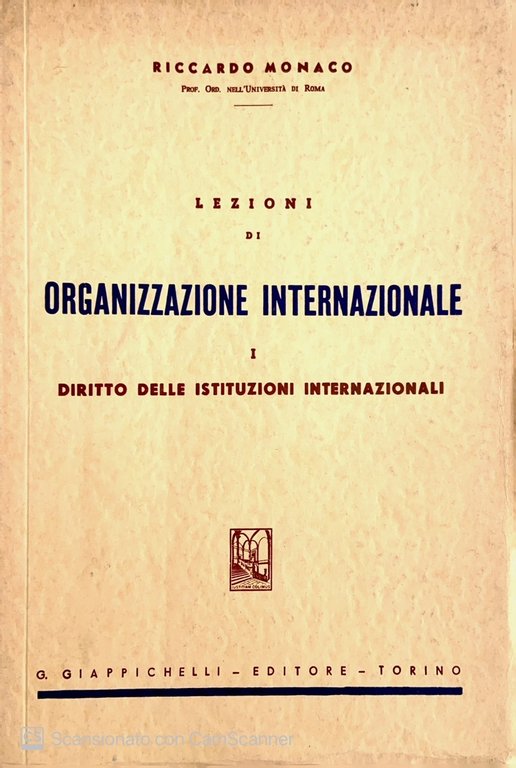 Lezioni di organizzazione internazionale Vol. 1
