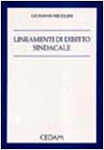 Lineamenti diritto sindacale | Immagine principale