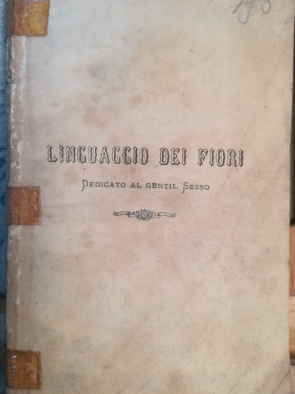 Linguaggio dei fiori dedicato al gentil sesso.