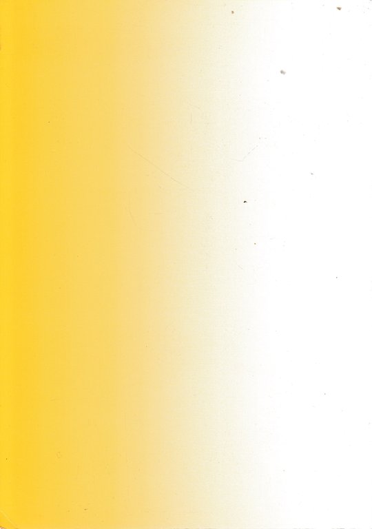 Lions e società. Opinioni dissenzienti | Immagine Gallery 4