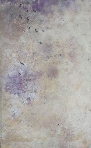 Lo spettacolo della natura ovvero trattenimenti sopra le particolarità della …