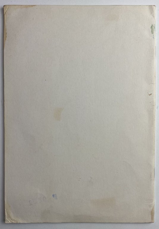 Lo studio delle motivazioni e l'organizzazione delle esperienze nella scuola … | Immagine Gallery 2