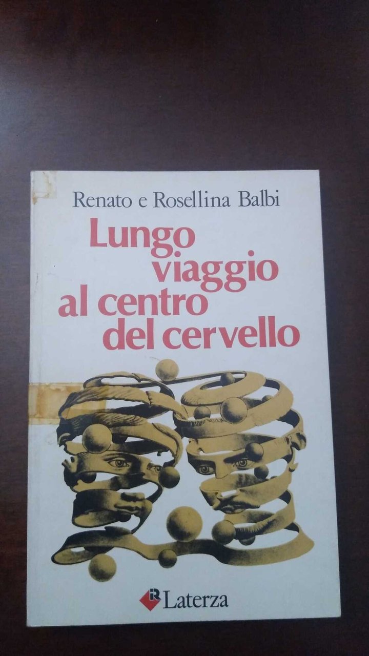 Lungo viaggio al centro del cervello