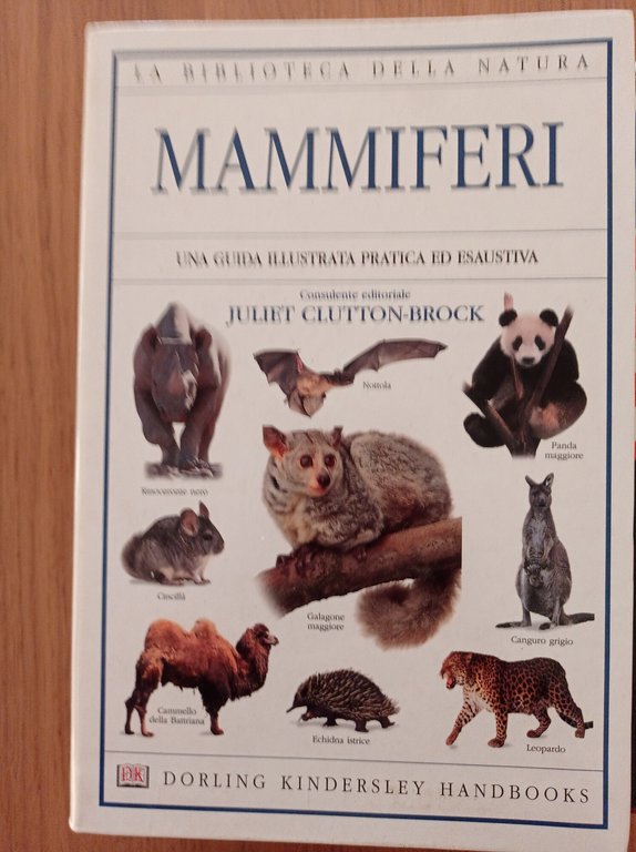 Mammiferi