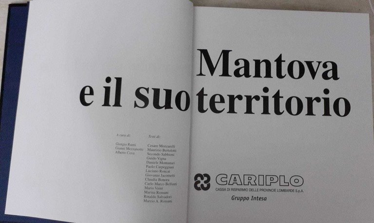 Mantova e il suo territorio