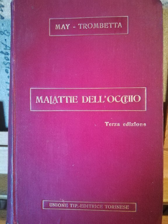 Manuale delle malattie dell'occhio