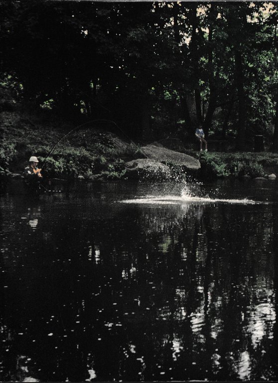 Manuale per la pesca in acque dolci