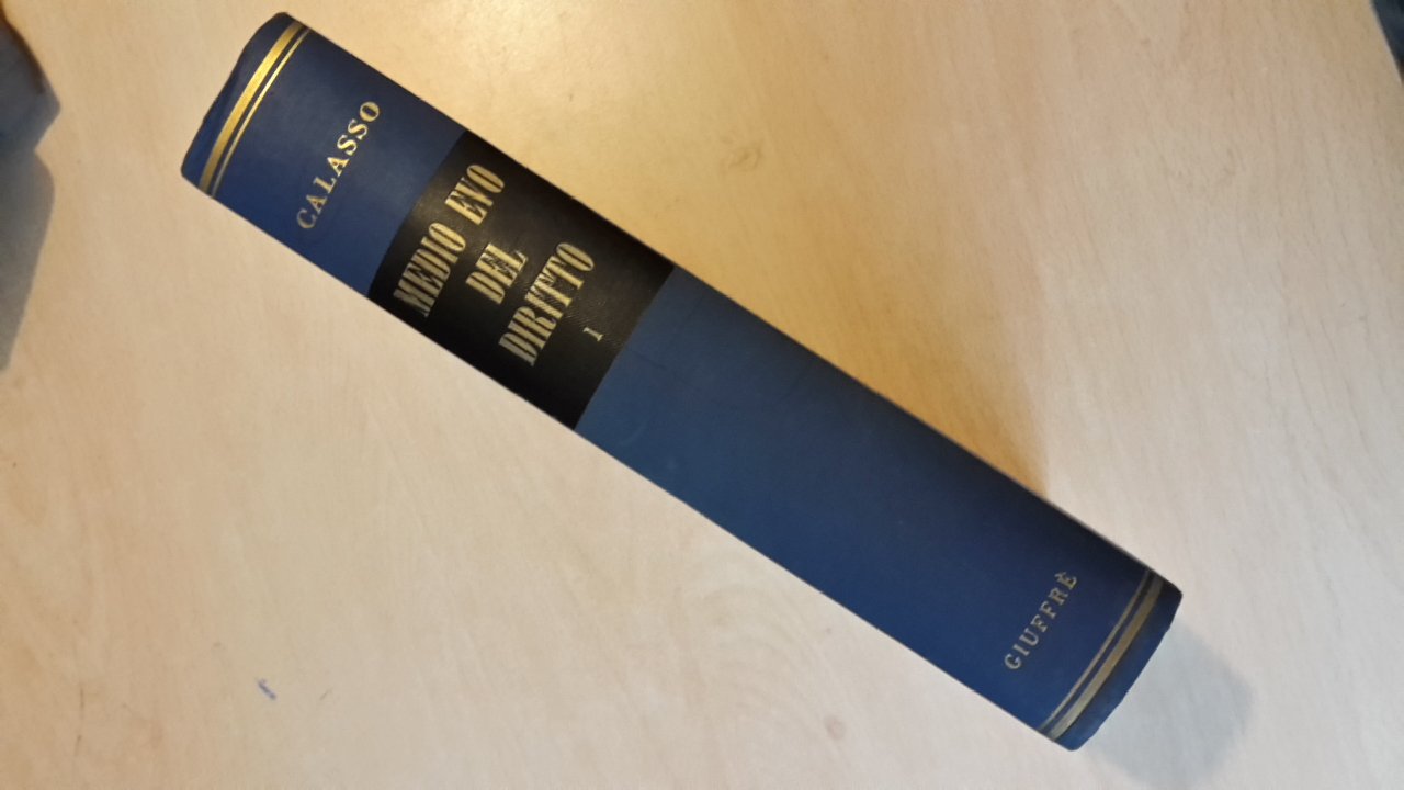 Medio Evo del diritto. Le fonti (Vol. 1).