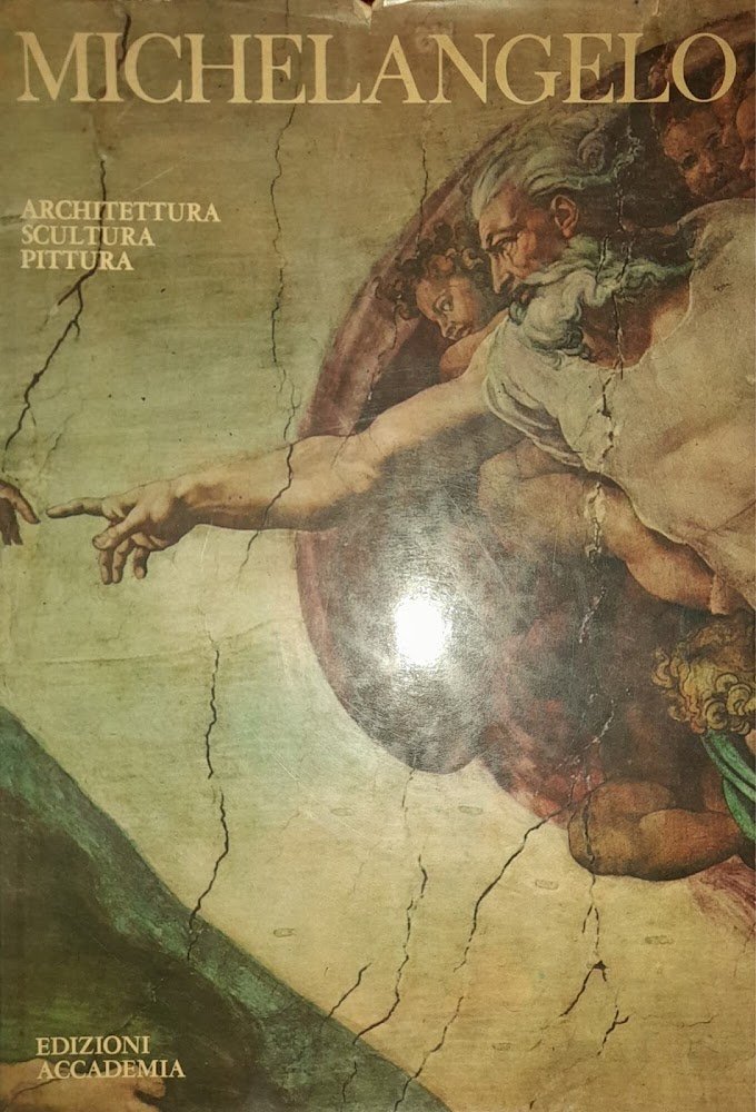 Michelangelo. Architettura - pittura - scultura