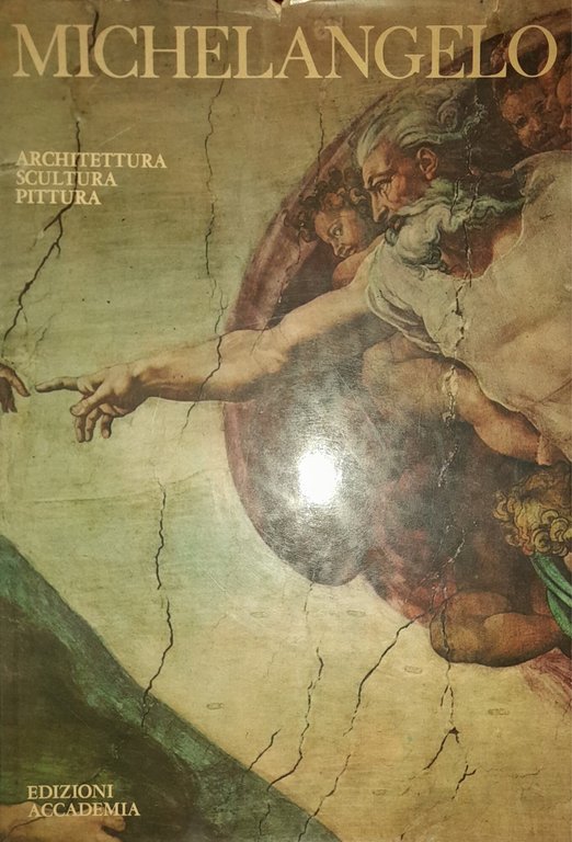 Michelangelo. Architettura - pittura - scultura