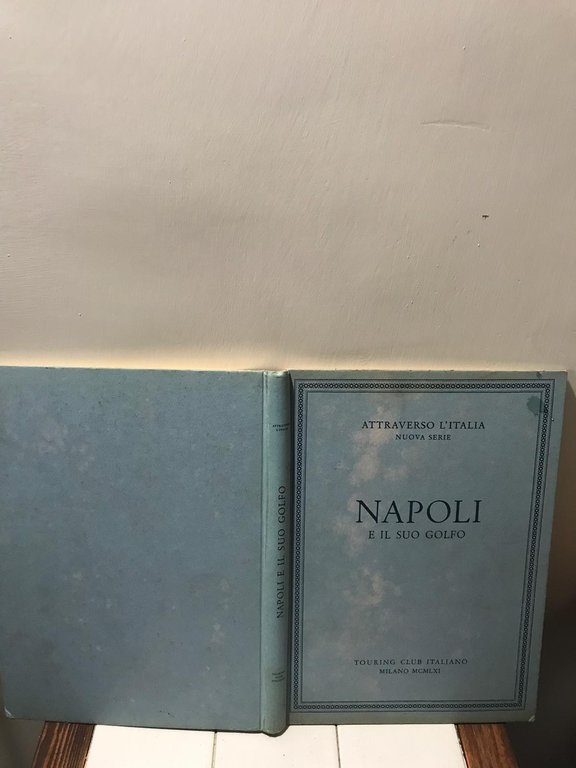 Napoli e il suo golfo