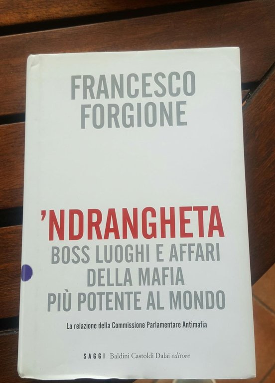 'Ndrangheta. Boss, luoghi e affari della mafia più potente al …