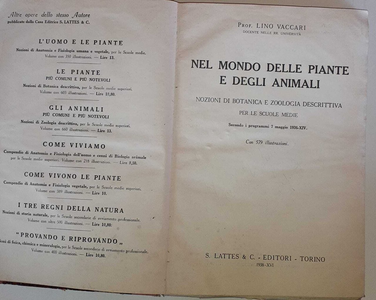 Nel mondo delle piante e degli animali | Immagine principale